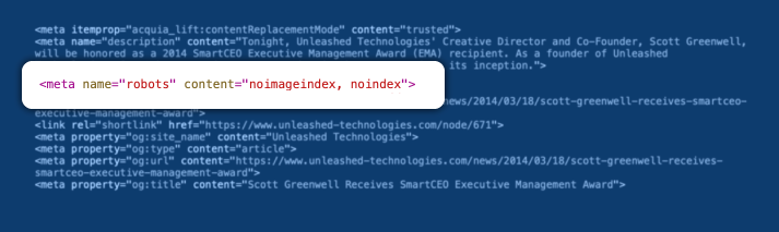 Web Page is Able to Be Indexed | Unleashed Technologies 